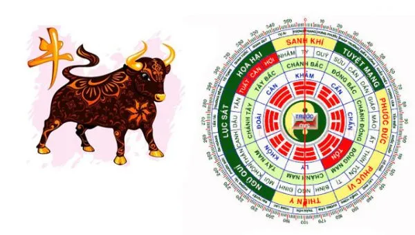 1973: Tuổi Quý Sửu xây nhà năm 2024 được không