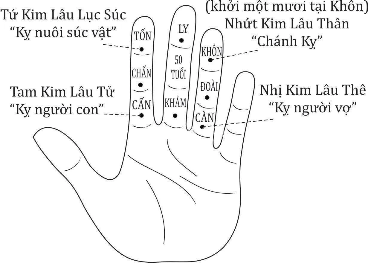 1982 tuổi nhâm tuất xây nhà năm 2024 có được không?