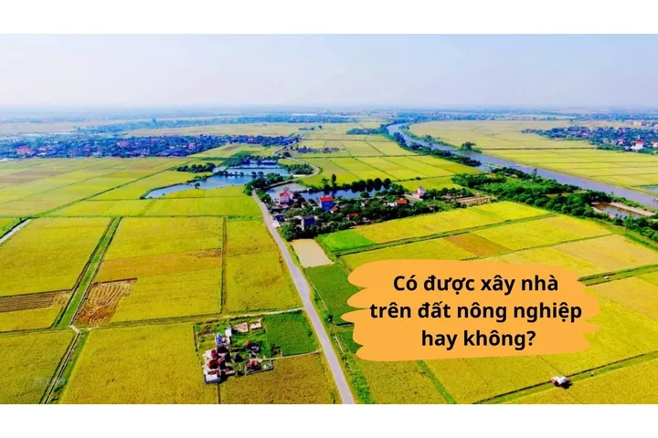 Có được xây nhà trên đất nông nghiệp hay không?