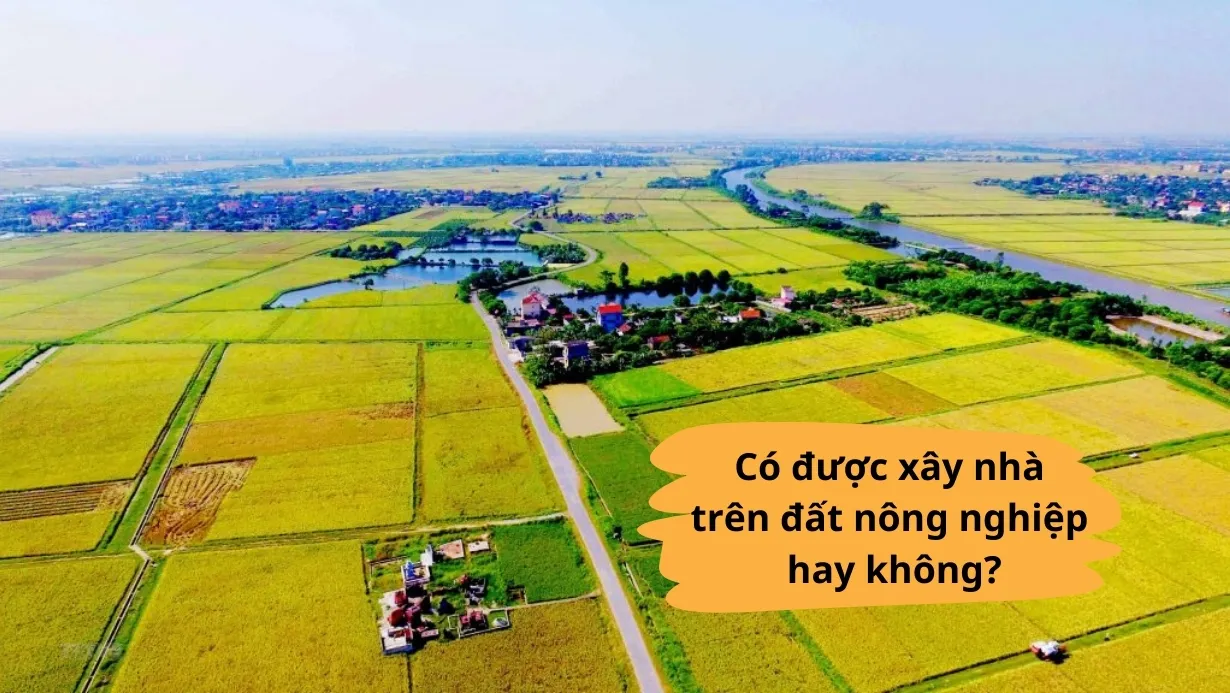 Có được xây nhà trên đất nông nghiệp hay không?