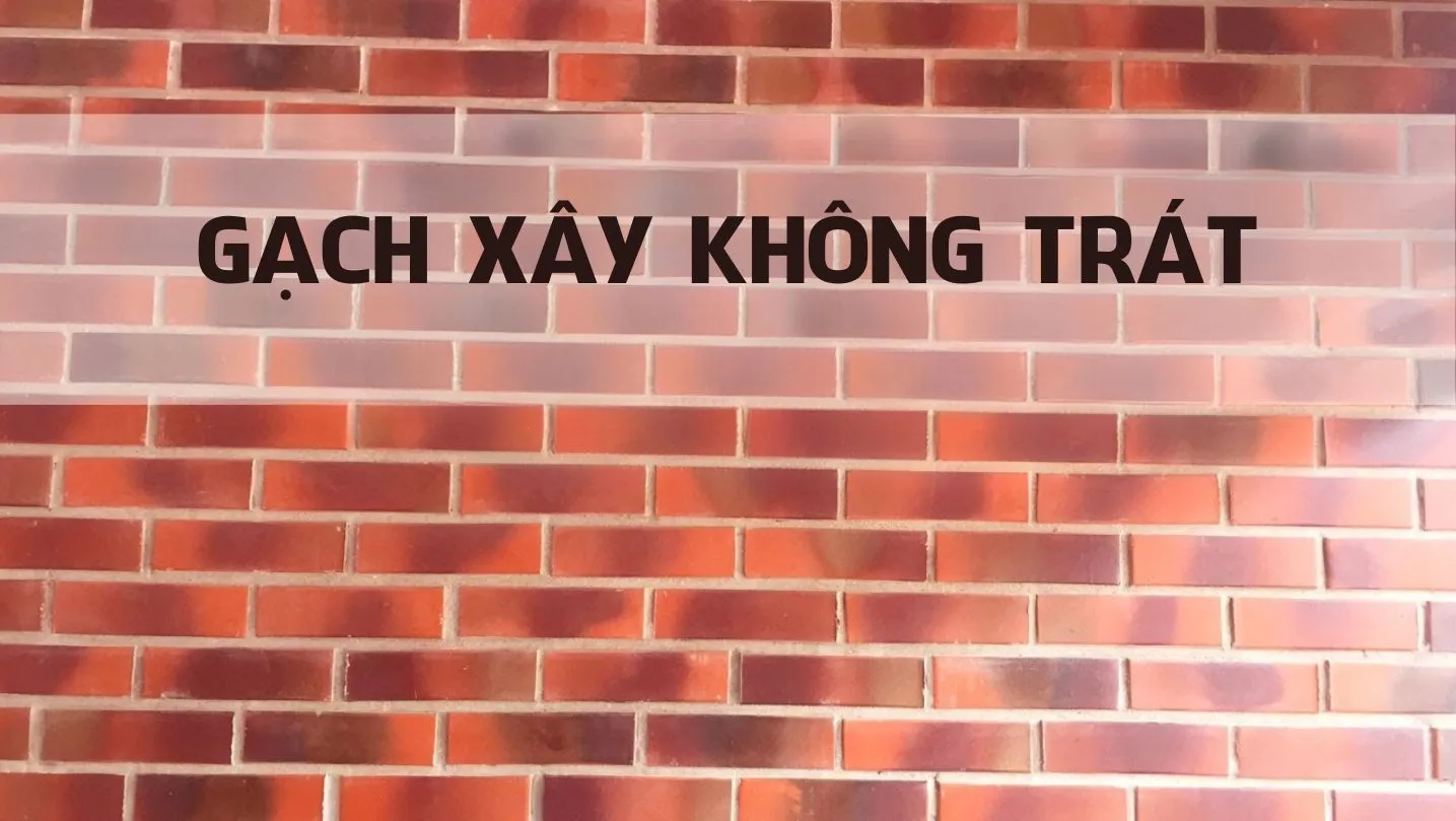 Có nên sử dụng gạch xây không trát cho công trình không?