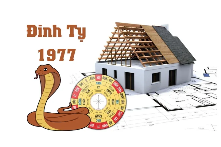 Đinh Tỵ – tuổi 1977 xây nhà năm 2024 có được không?