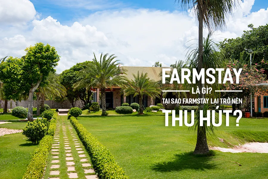 Farmstay là gì? Tìm hiểu mô hình kiến trúc Farmstay hiện nay