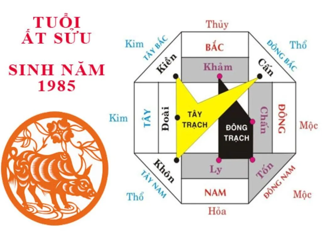 Hướng nhà tuổi 1985 (Ất sửu) theo ngũ hành tương sinh