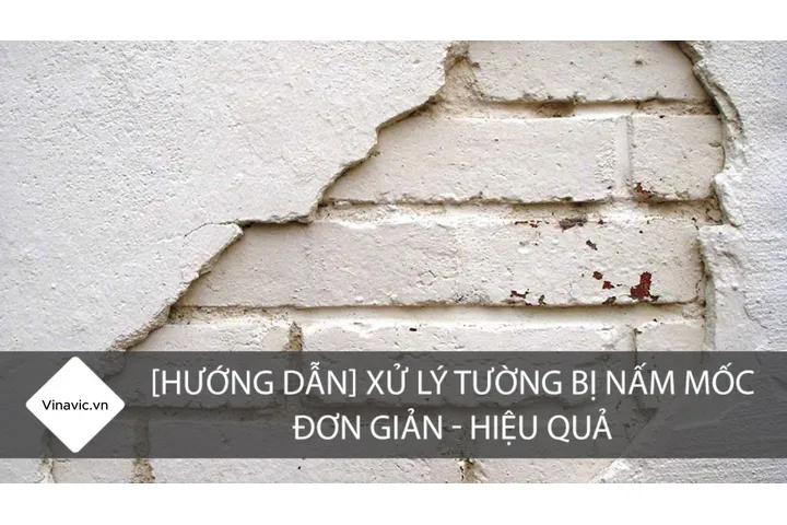 Nguyên nhân và cách xử lý tường bị ẩm mốc hiệu quả