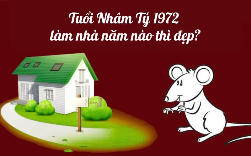 Nhâm Tý – sinh năm 1972 làm nhà năm nào thì đẹp ?