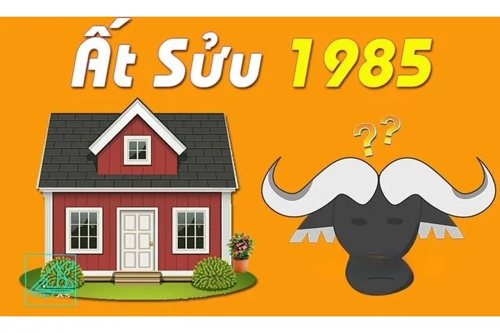 Tuổi Ất Sửu sinh năm 1985 năm 2024 có làm nhà được không?