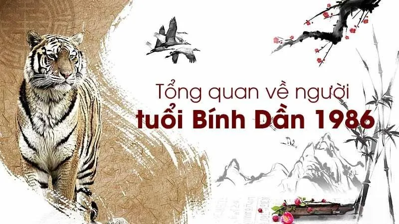 Tuổi bính dần năm 2024 có làm nhà được không